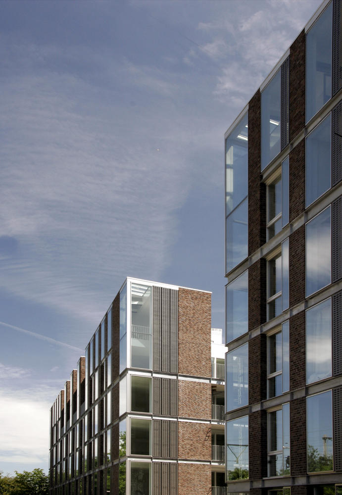 Borneo Triangle Amsterdam
